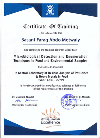 Ms. Bassant Farag Abdo Metwaly